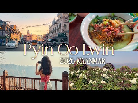 The City of Flowers, Food, & Fun 🌸 Travel Diary