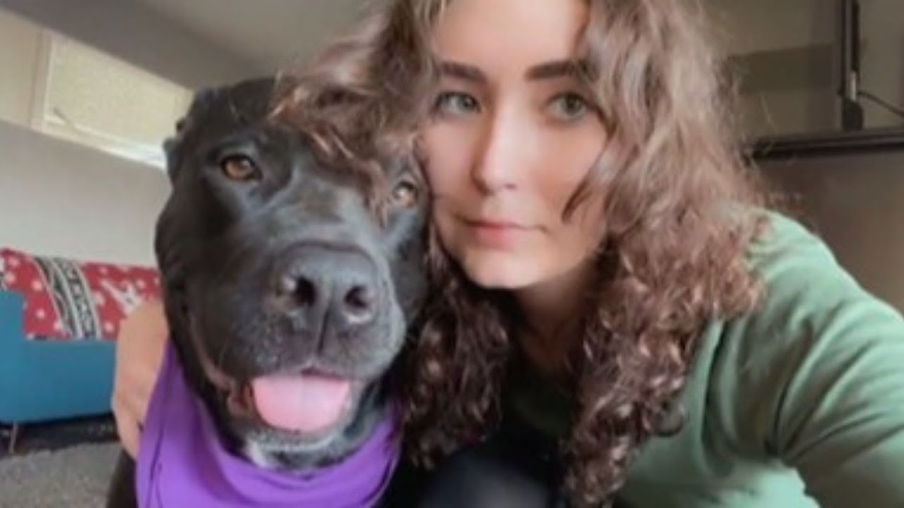 Rescue Puppy Who Keeps Getting Rejected For Strange Sounds Becomes Music Therapy Miracle
