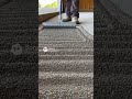 Leveling Garage Floors with a Professional Quick Fix for Uneven Surfaces
