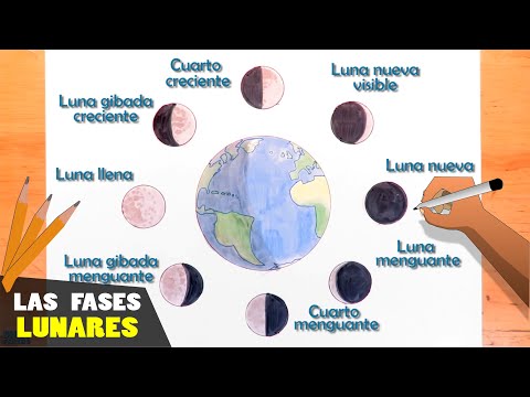 Video: Cómo Dibujar Un Lunar