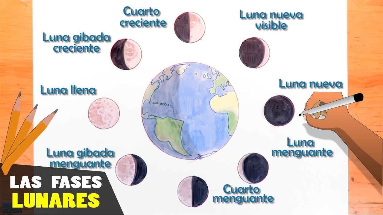 Top 79+ imagen dibujos de las fases de la luna