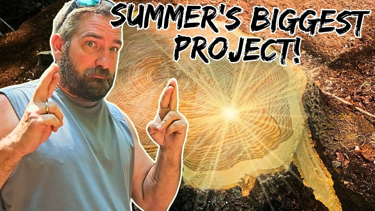 I Spent My Entire Summer Cutting This One Tree! - YouTube