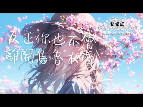 花粥 - 反正你也不會離開烏魯木齊 | 這些年你看著 我任性的活著 | 動態歌詞 Lyric Video