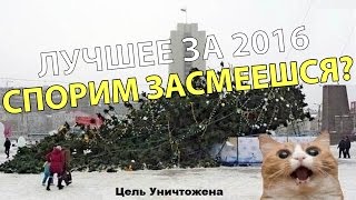 ШООООК!!!! Самые смешные приколы 2016 года!!!!!