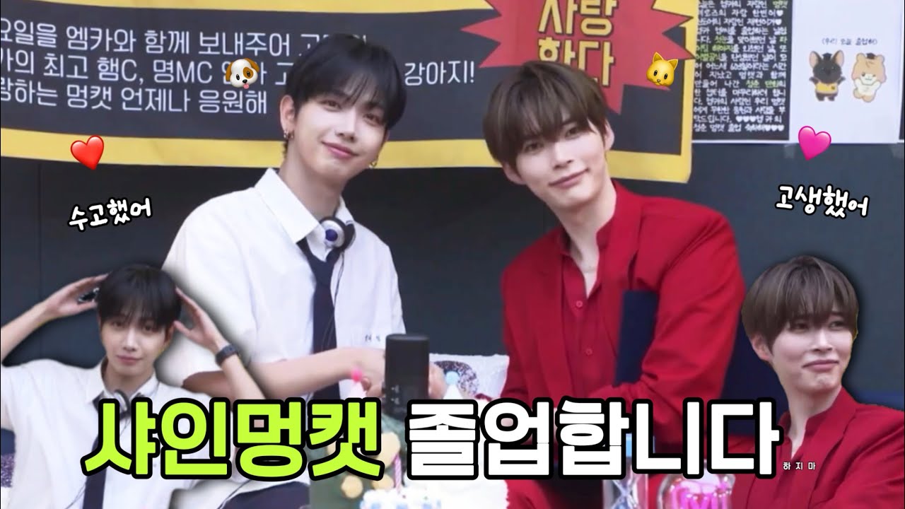 샤인멍또캣 진짜 안녕🐶🐥🐱🎓[대친소 라이브 요약 EP.904]