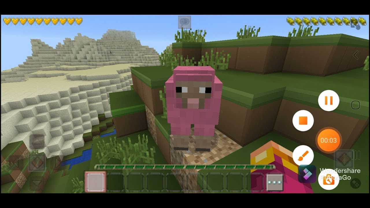 rare Sheep - YouTube
