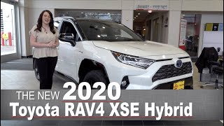 [Walk Around] All-New 2020 Toyota RAV4 Hybrid XSE | Mpls, Golden Valley, Coon Rapids, MN