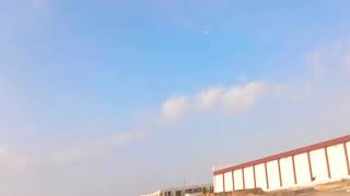 Crow Free Fly Training (Part 2)