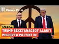 Trump béketanácsot alakít - meghívta Putyint is! - HírMix Plusz