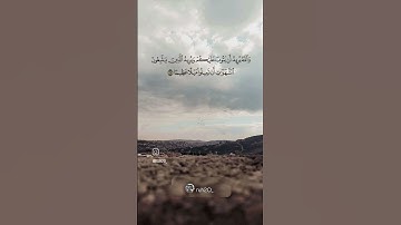 أكتب شيء تؤجر عليه 🤎✨️                  #سورة_النساء