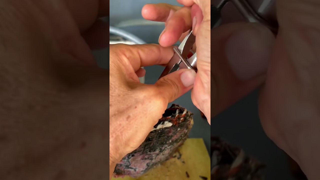 Dark Cherry pearl extracted from this oyster 😍