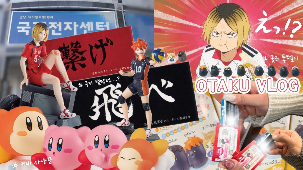 40만원 털고 왔습니다 | 국제전자센터•하이큐•커비•쿠지•가챠•랜덤깡 | Otaku vlog