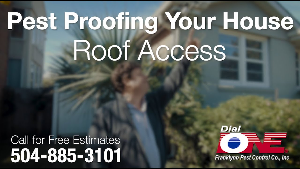 Pest Proofing  Your Home - Roof Access