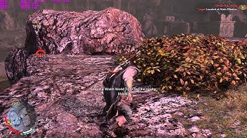 Shadow of Mordor Ram & GPU Usage