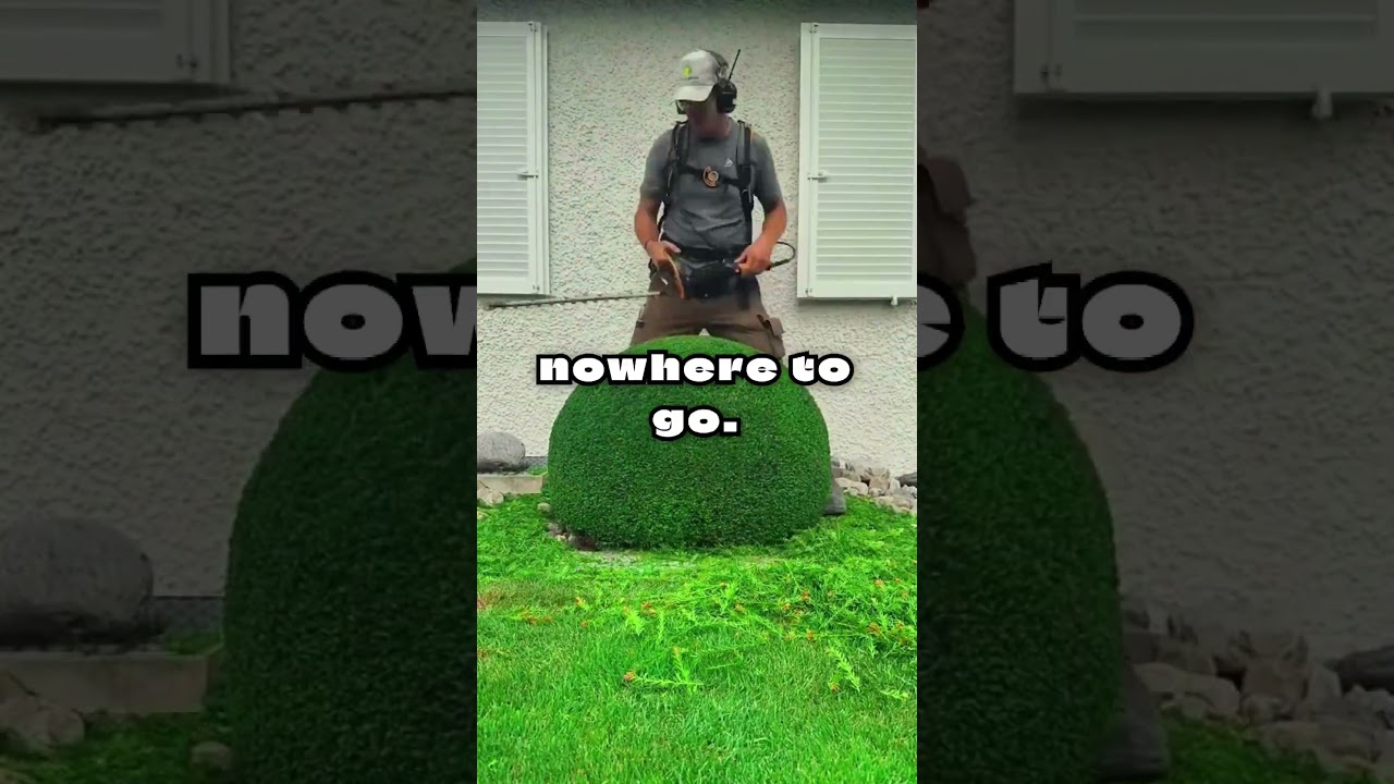 I Love Him, But I’m Scared to Let Him Move In After Losing His Job — Am I Heartless for Saying No 💔😣