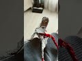 #гугугага #прикол