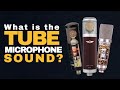 What is the tube microphone sound demo ft vanguard v13 gen2