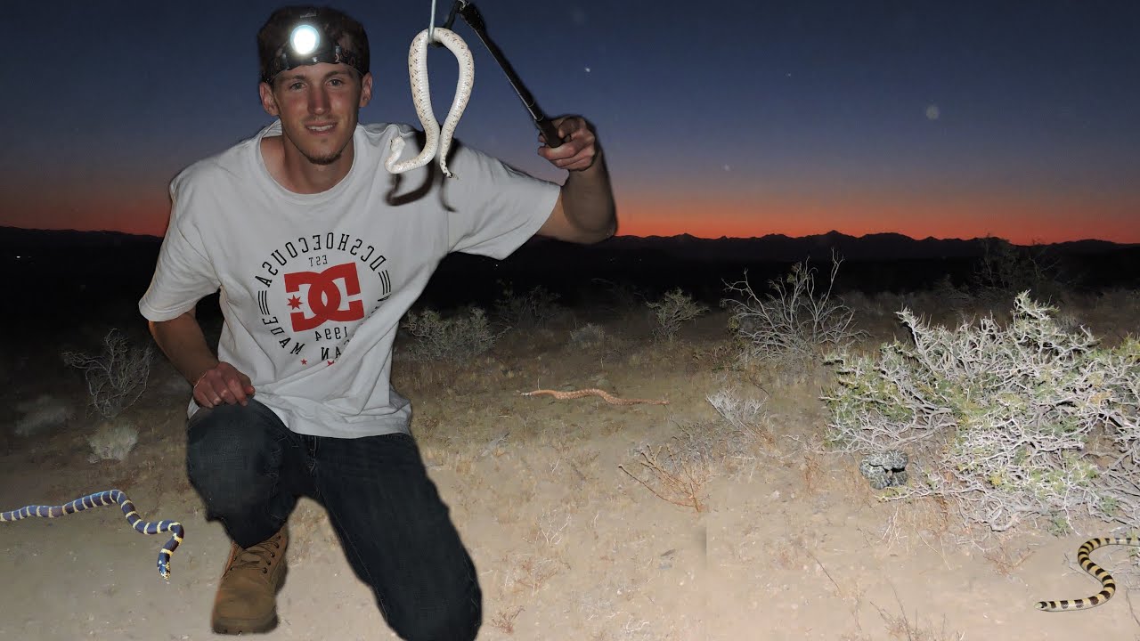 May in San Diego...Snakes everywhere but can I find them?