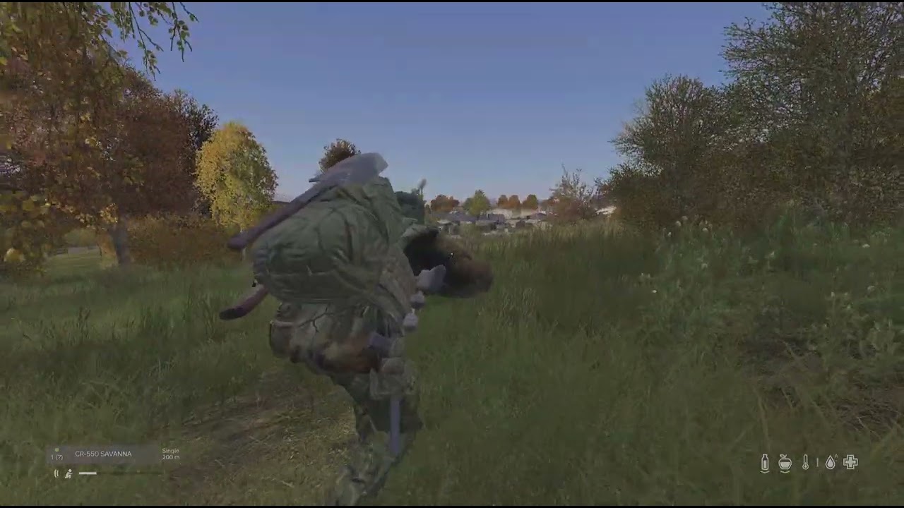 DayZ wait and see