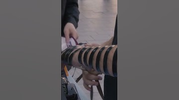 Thumbnail of Yom Kippur | #shorts