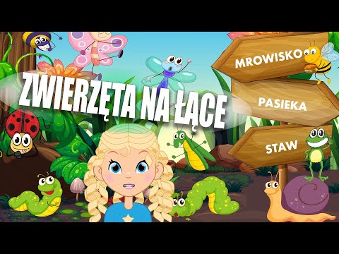 Wideo: Jakie Zwierzęta żyją Na łące