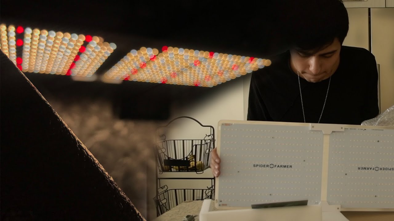 Unboxing Spider Farmer SF 2000 (Nuevo Modelo 2020)