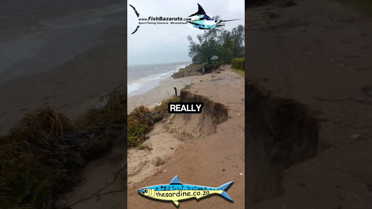 Cyclone Filipo attacks Vilankulos in the early hours of this morning - report by Captain Duarte Rato
