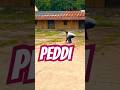 #shortsindia #shortsbeta #shortsfeed #peddimovie #peddi #ramcharan #rc #prabhufilms #prabhueventsrjy