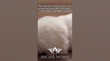 💬 Be honest, how many times has this happened to you? #arcaneworld #lineage2main #lineage2superion