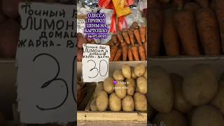 ОДЕССА ❤ ПРИВОЗ ❤ ЦЕНЫ НА КАРТОШКУ ❤ 24.07.2025 #ukraine #odessa #shorts