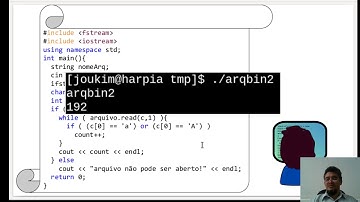 Manipulação de Arquivos em C++ - Streams Binárias