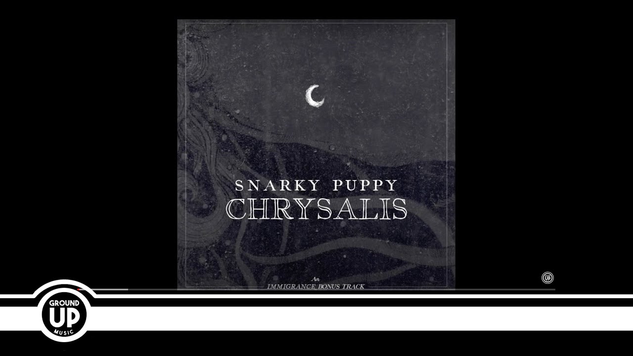 Snarky Puppy Chrysalis Official Audio