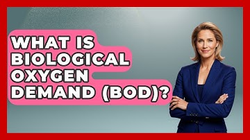 What Is Biological Oxygen Demand (BOD)? - Chasing Big Fish