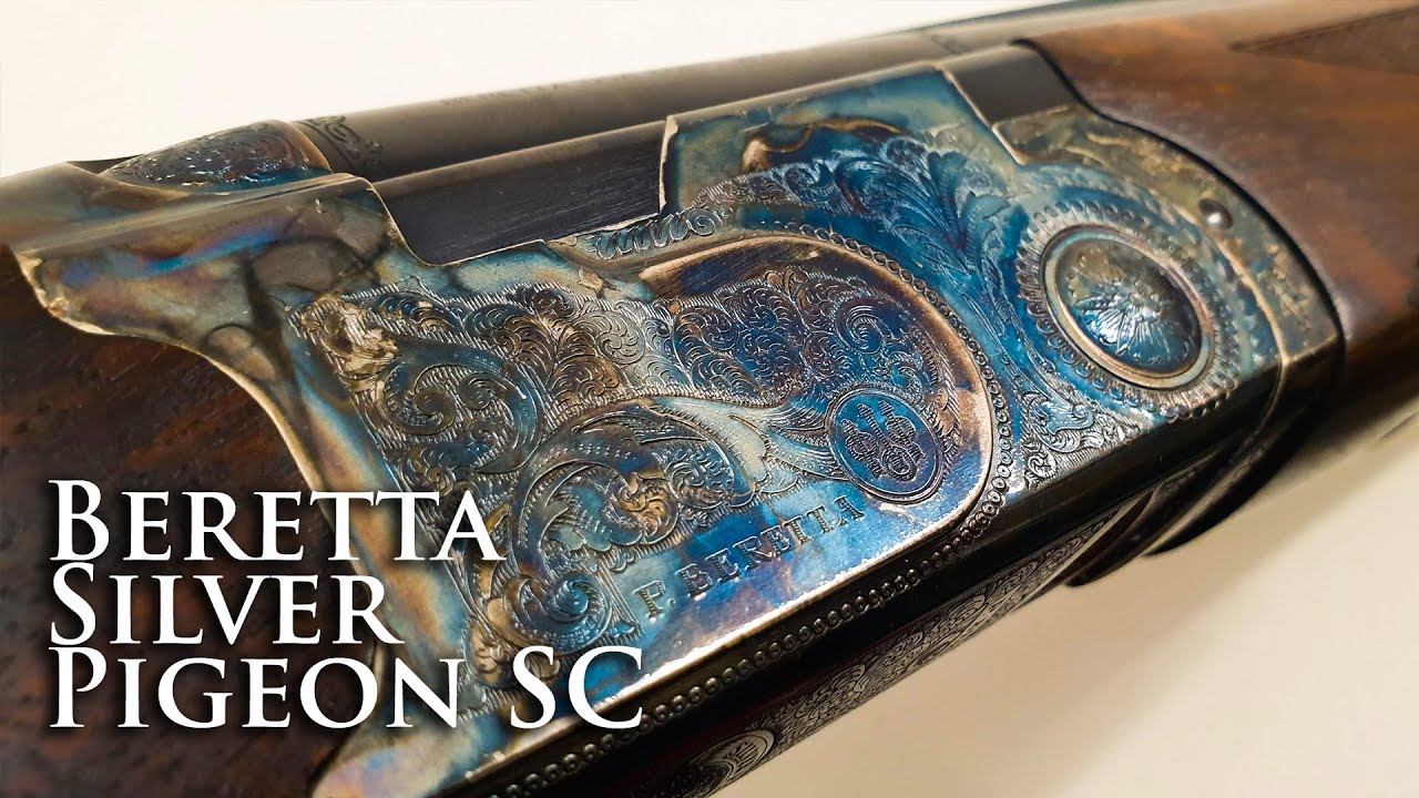 RARE Beretta Silver Pigeon SC YouTube
