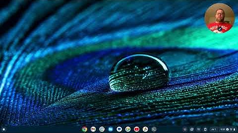 How to Set Up a Chromebook for Python Programming with Pulsar