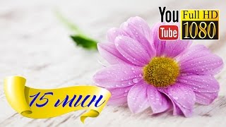 HD Музыка ✿ Лаунж ✿ Звуки Природы ✿ Альфа Ритм Расслабление Отдых