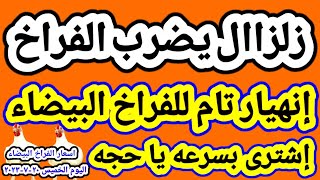 اسعار الفراخ البيضاء / سعر الفراخ البيضاء اليوم الخميس ٢٠-٧-٢٠٢٣ جمله وقطاعي في المحلات في مصر