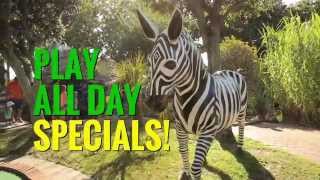 Jungle Golf Video