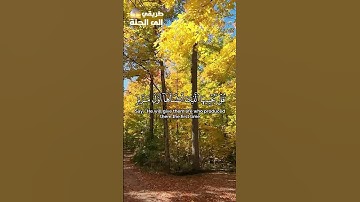 أولم ير الإنسان أنا خلقناه من نطفه _  القارئ فارس عباد سورة يس   #قرآن_كريم