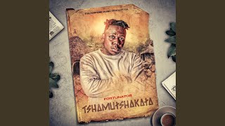 Tshamutshakata feat Dalom Kids Starr Healer U0026 Dj Gundo