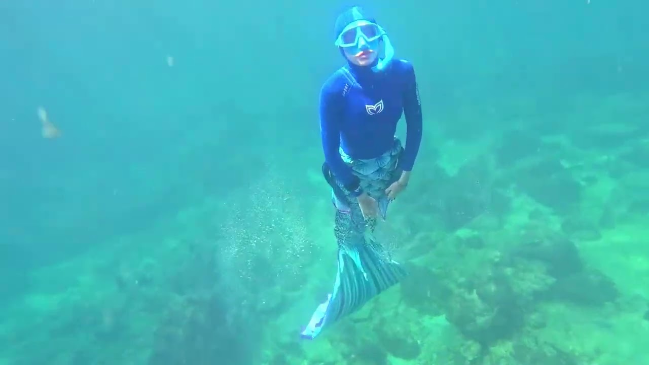 Курсы русалок в Санкт-Петербурге - PADI Mermaid