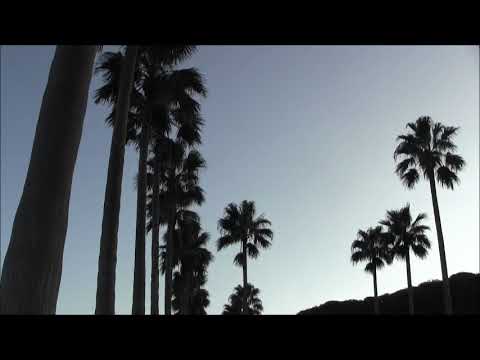 自撮りのメッカとなって人気爆発の「リベエラ逗子マリーナ」のい「ヤシ・ロード』の - YouTube