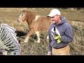 Tipping Farrier $500 For Rescuing Pony