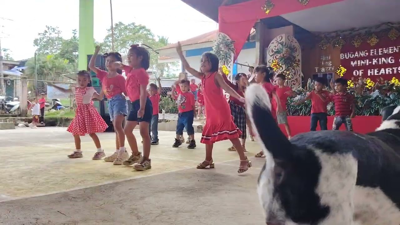Fruit Salad Modern dance, Kindergarten-PM presentation batch 2026