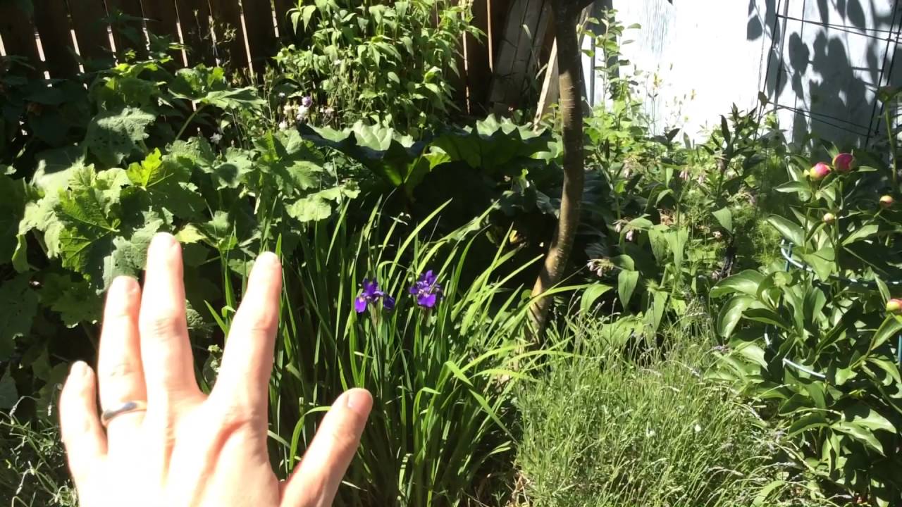 Что такое поликультура?