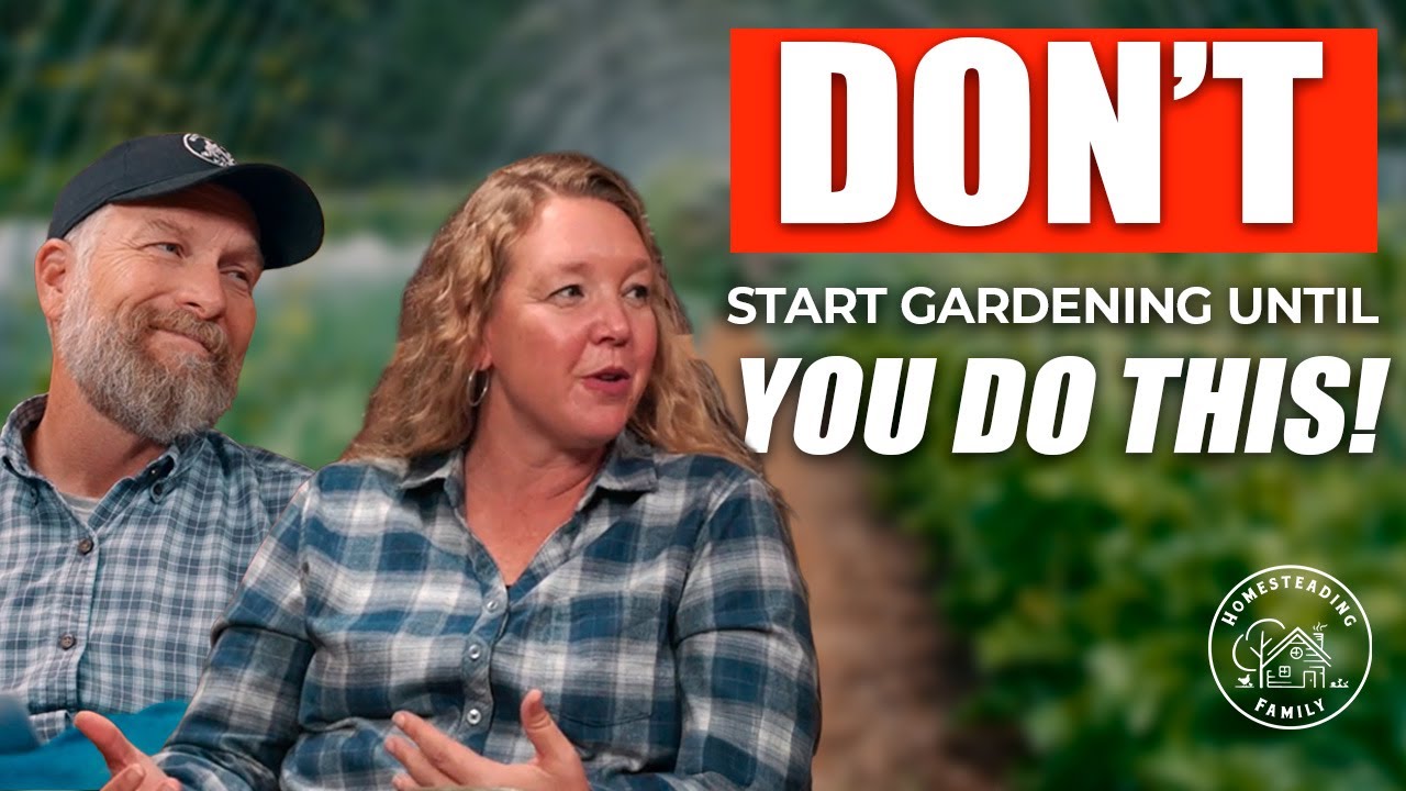 Руководство для начинающих по созданию здоровой почвы