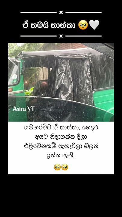 Download lagu තාත්තා 🥹 #shorts #viral #trending #ytshorts #viralvideo