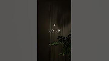 اكتب شيء تؤجر عليه // القارئ هزاع البلوشي 😴❤️‍🩹