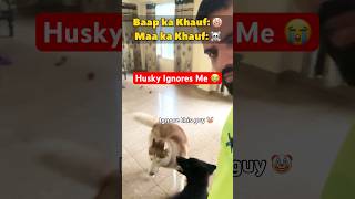 Why my dogs ignore me? 😭🥀 #funnydogs #husky #germanshepherd