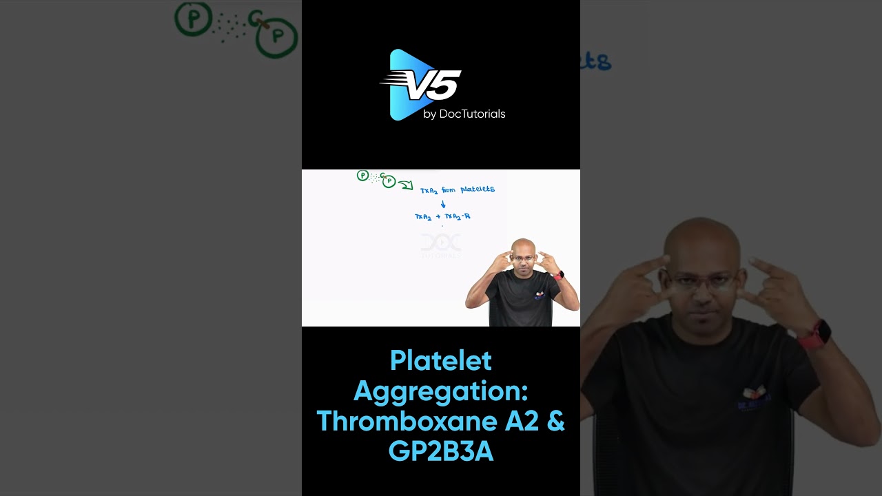Platelet Activation Cascade: Thromboxane A2 & GP2B3A in Clot Formation Explained